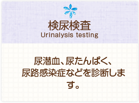 ［検尿検査］尿潜血、尿たんぱく、尿路感染症などを診断します。