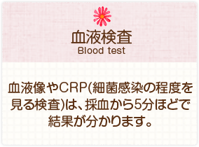 ［血液検査］血液像やCRP(細菌感染の程度を見る検査)は、採血から5分ほどで結果が分かります。